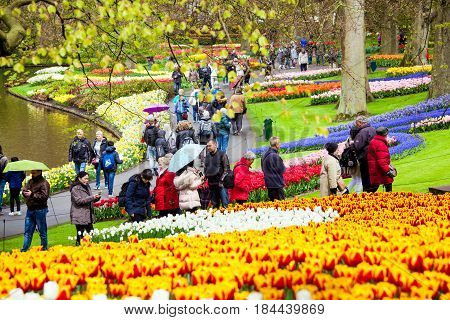 Keukenhof, Netherlands - April, 2017: Tourists walking throung colorful tulips on the river bank in Keukenhof park in Amsterdam area, Netherlands. Spring blossom in Keukenhof