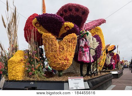 NOORDWIJK NETHERLANDS - 22 APRIL 2017: Platform with tulips and hyacinths during the traditional flowers parade Bloemencorso from Noordwijk to Haarlem in the Netherlands.