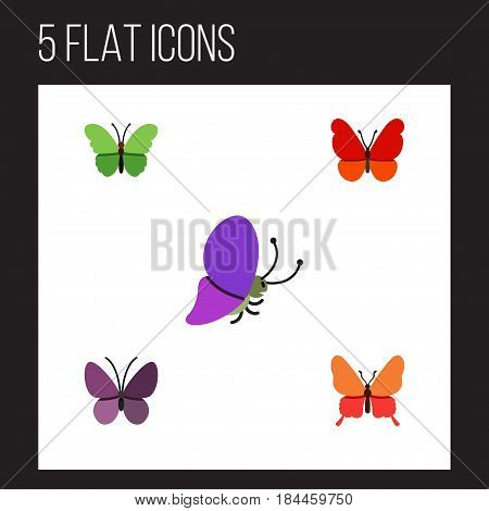 Flat Monarch Set Of Danaus Plexippus, Summer Insect, Violet Wing And Other Vector Objects. Also Includes Butterfly, Summer, Insect Elements.