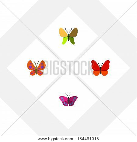 Flat Moth Set Of Moth, Beauty Fly, Archippus And Other Vector Objects. Also Includes Monarch, Milkweed, Archippus Elements.