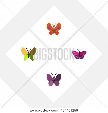 Flat Butterfly Set Of Beauty Fly, Violet Wing, Archippus And Other Vector Objects. Also Includes Moth, Butterfly, Monarch Elements.
