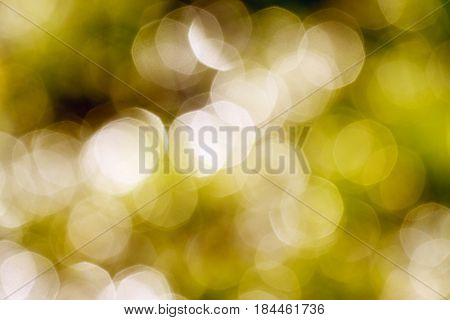 Green background on nature. Defocus abstract blur background
