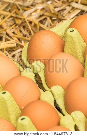 Freerange fresh raw eggs in recycled paper egg cartons or on the straw.