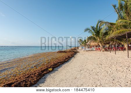 The beach in Mahahual, Quintana Roo, Mexico