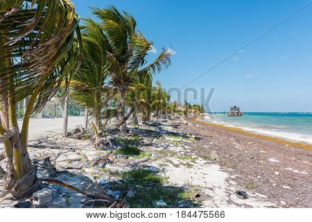The beach in Mahahual, Quintana Roo, Mexico