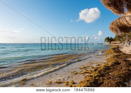 The beach in Mahahual, Quintana Roo, Mexico