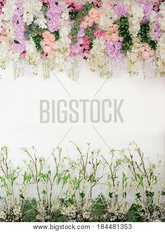 flower beautiful backdrop wedding use for background