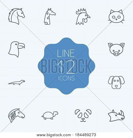 Set Of 12 Beast Outline Icons Set.Collection Of Rhino, Lizard, Horse And Other Elements.