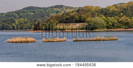 Landscape of evergreen trees on shoreline Landscape of lake with three small islands in the middle of lake and shoreline with a small clearing surrounded by evergreen trees.