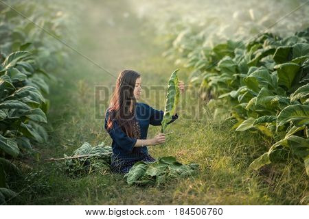 Beautiful Asian Girl In Laos Traditional Costume Identity Culture Of Laos Agriculture Organic Small