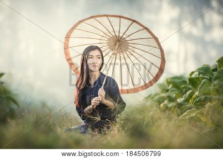 Beautiful Asian Girl In Laos Traditional Costume Identity Culture Of Laos Agriculture Organic Small