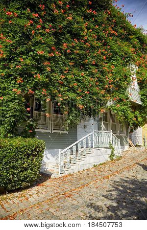 The House Wreathed With Campsis Creeper On The Street Of The Cold Fountain.