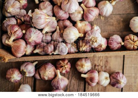 Close-up Garlic Bulbs And Garlic Cloves On Wodeen Background. Ga