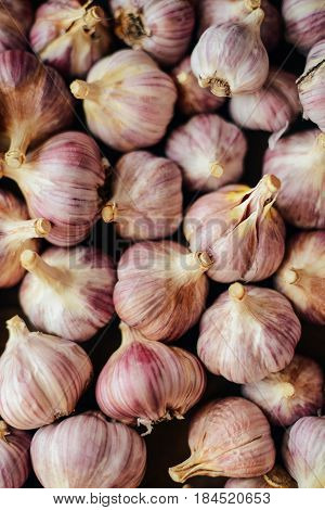 Close-up Garlic Bulbs And Garlic Cloves On Wodeen Background. Ga