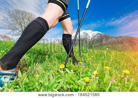 Norid Walking In The Meadow