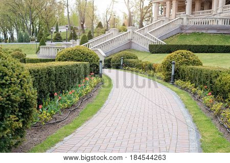 Garden with topiary landscape. Landscaping in the park.