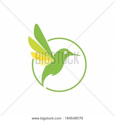 green colibri bird vector illustration, logo bird design
