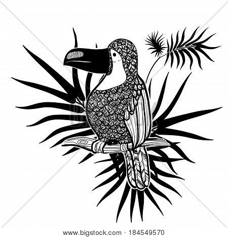 Vector illustration. Graphic arts. Toucan. Tropical toucan bird on a background of tropical leaves. Black and white.