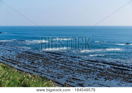 Aoshima Island coast