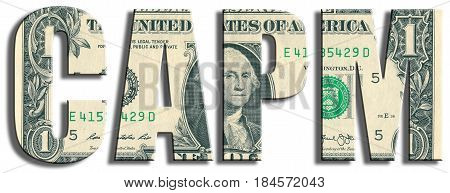 Capm - Capital Assets Pricing Model. Us Dollar Texture.