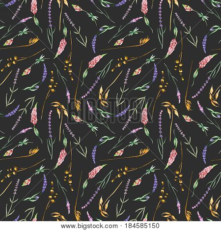 Seamless pattern with yellow dry wildflowers, lupine and lavender flowers, hand drawn in watercolor on a dark background