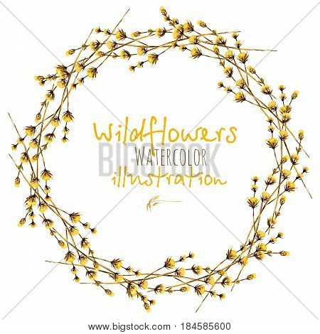 Wreath, circle frame border with yellow dry wildflowers hand drawn in watercolor on a white background