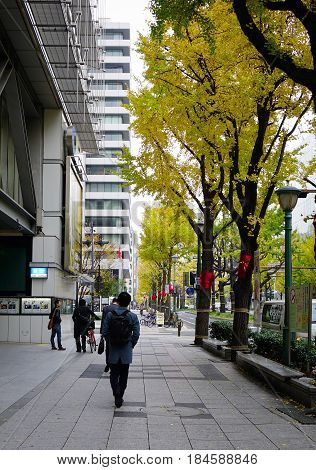 Street In Kanazawa, Japan