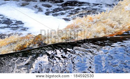 Small waterfall can be used as a background.