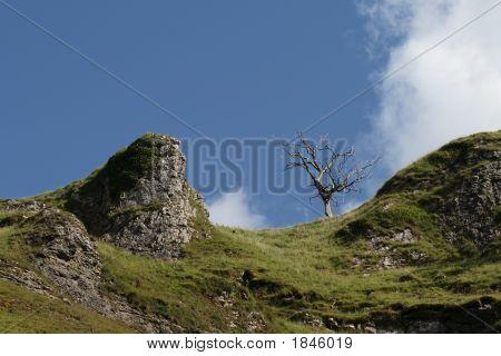 Zmarłe drzewo przed panoramę z wychodnie skał wapiennych