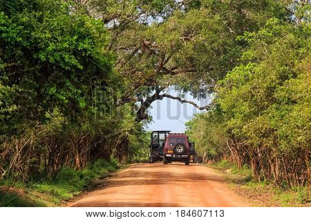 Scenic view with of road and offroad vehicles on it in Yala National Park, Sri Lanka