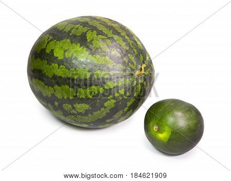 two water melons on a white background big and small dwarfish version