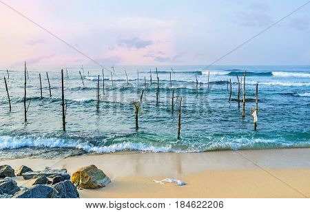 The Sticks In Water