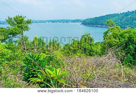 The Green Coast Of Sri Lanka