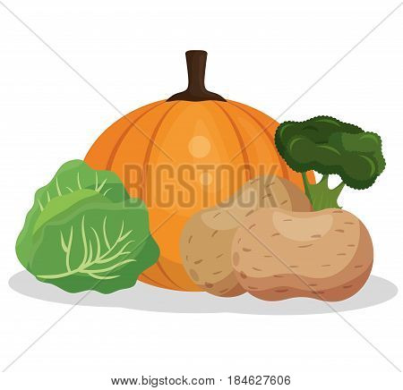 healthy food vegan icons vector illustration design