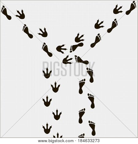 Footprints