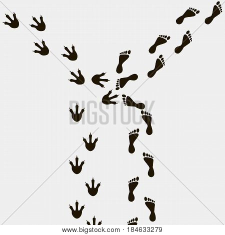 Footprints