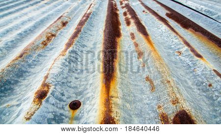 Old Metalsheet Wall
