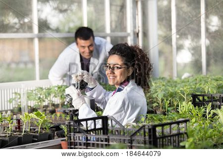 Two young smiling engineers working in greenhouse with sprouts. Plant protection and care concept