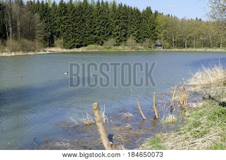 Calm Lake In The Nature