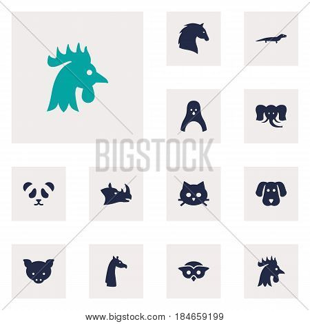 Set Of 12 Beast Icons Set.Collection Of Hog, Bear, Gecko And Other Elements.