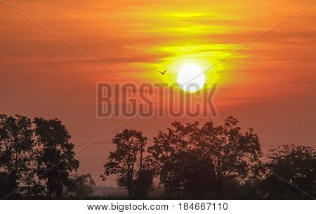 wonderful dramatic scene. fantastic sunrise over the meadow. picturesque rural landscape sunrise at morning time. color in nature. with bird