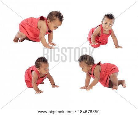 Four images of a beautiful baby girl crowling isolated on a white background