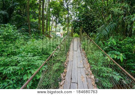 View of suspension bridge on an early morning with background of tropical jungle in Lingkungan,Beaufort,Sabah.The suspension bridge made form steel cables and planks was equally wide.