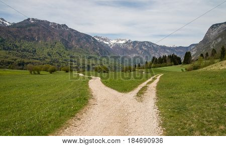 Beautiful Bohinj lake and its green surroundings in Slovenia during springtime