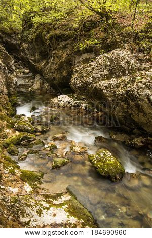 Scenic glacier carved canyon of Mostnice near Bohinj in Slovenia, Europe