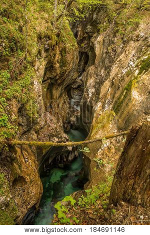 Scenic glacier carved canyon of Mostnice near Bohinj in Slovenia, Europe