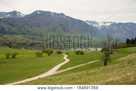 Beautiful Bohinj lake and its green surroundings in Slovenia during springtime