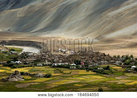Little Valley In Zanskar