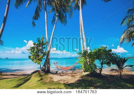 Tropical Palm Trees and Hammock at Thailand Summer Season