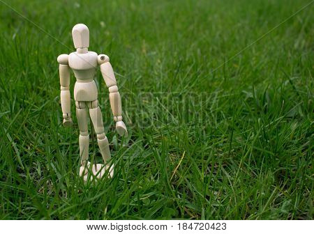 the wooden man dummy on green grass